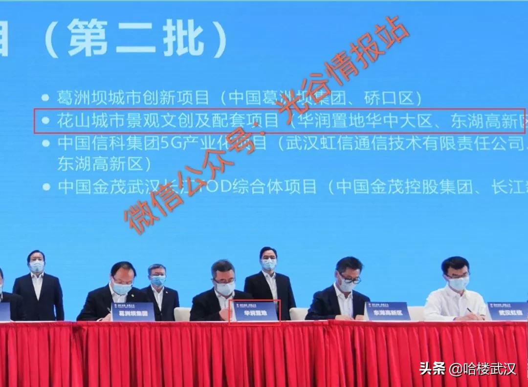 光谷东王放风价,放风价9800元以下的楼盘