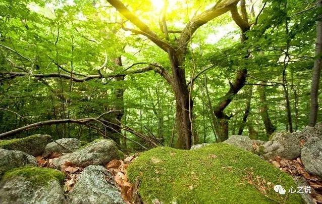 散文雨的作品,雨景散文随笔