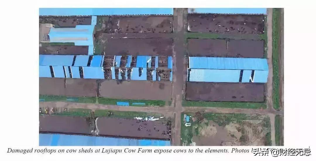 这家企业曾造就辽宁首富，如今却无人愿收购，堪称改制失败样本