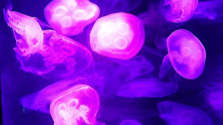 9号线上有什么景点吗,9号线游玩攻略大全