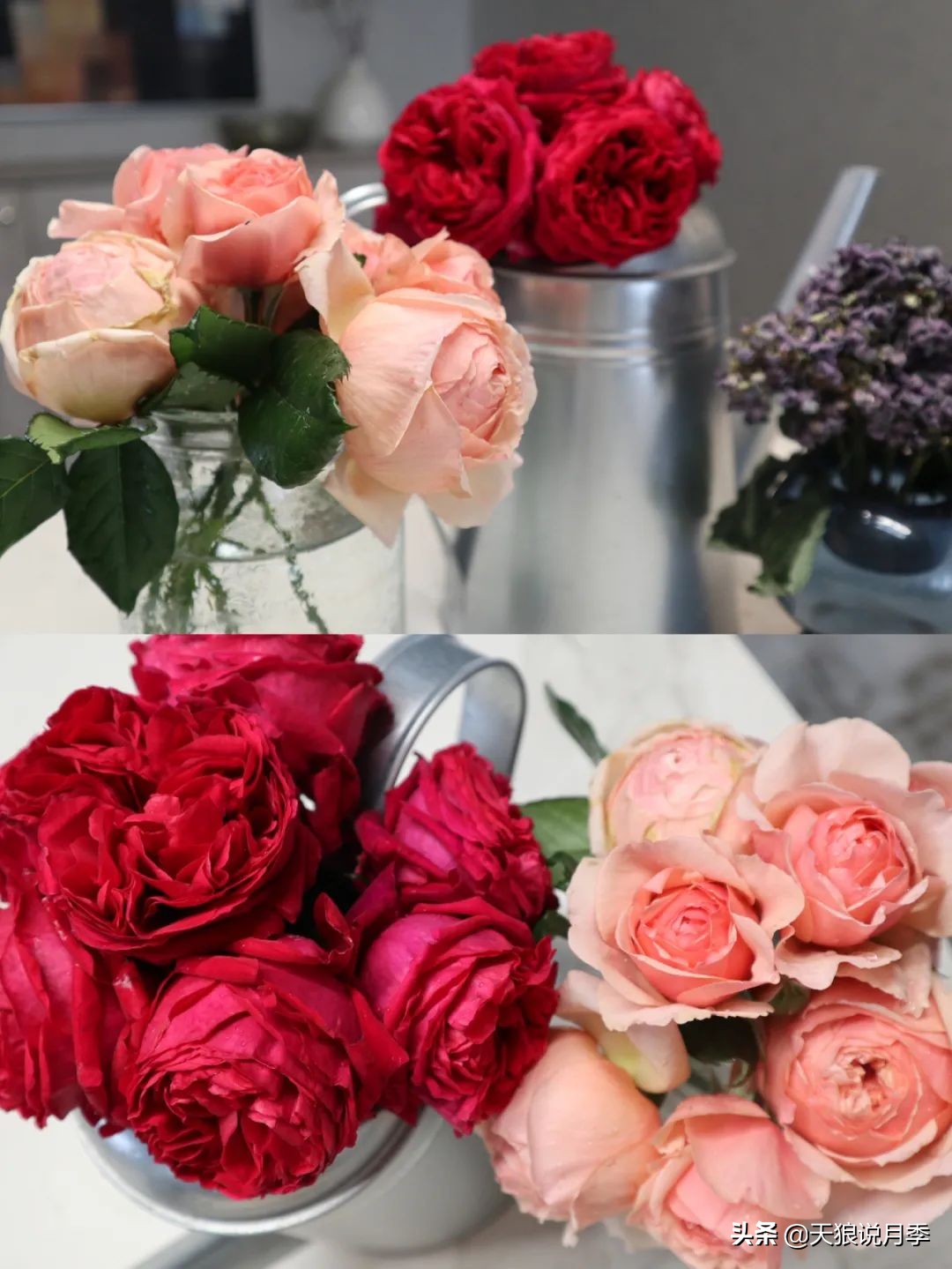 怎么打造露台小花园,如何打理自己的露台小花园