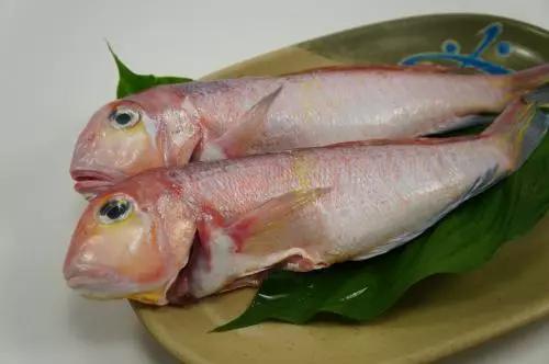 开海特价海鲜,开海的海鲜视频