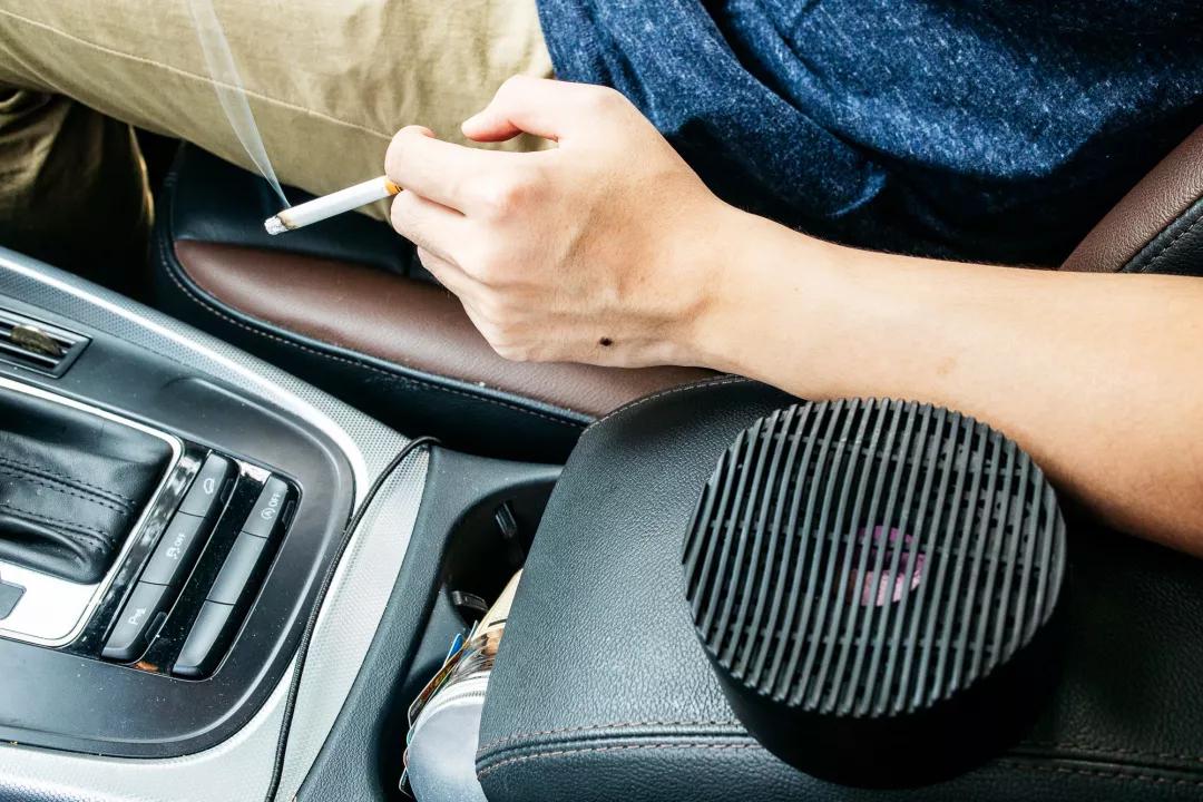 日本除甲醛豆子,日本甲醛清除剂真的有效吗