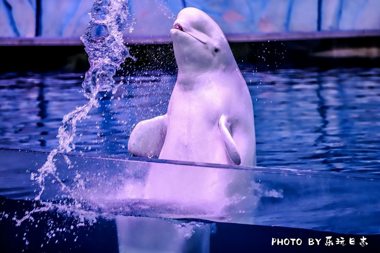 珠海亲子游必玩景点,珠海一日游适合带孩子玩的景点