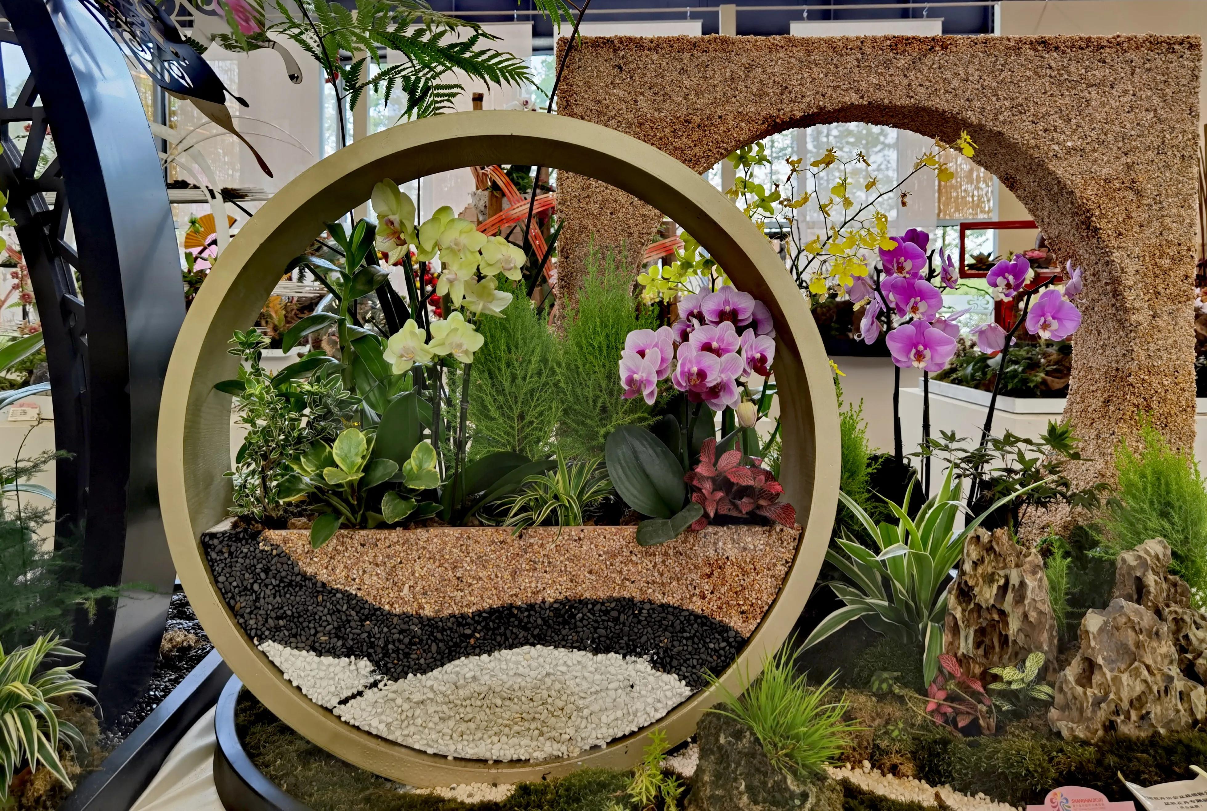 关于崇明花博会,崇明花博会全程花景