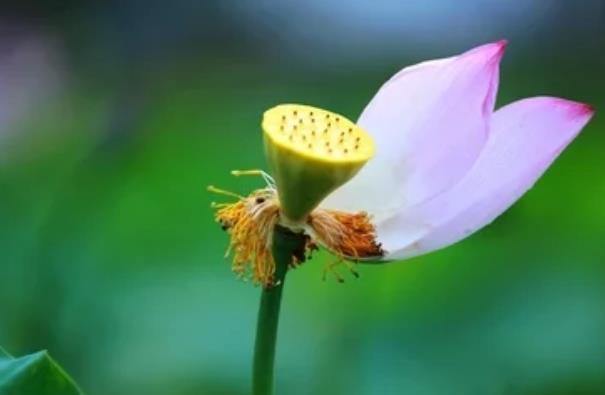 人生迷茫的时候该怎么做,人生迷茫时应该做的事