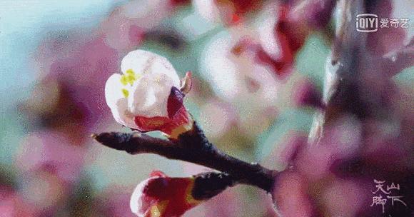 疫情过后再去看看风景,疫情结束后的人间仙境