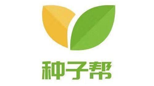 四季青混播草坪种植教程,四季青草坪种后的养护方法