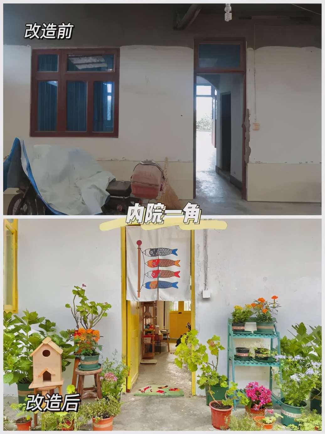 29岁成都女孩“组团养老”！辞职后和闺蜜在乡下爆改350㎡大房子