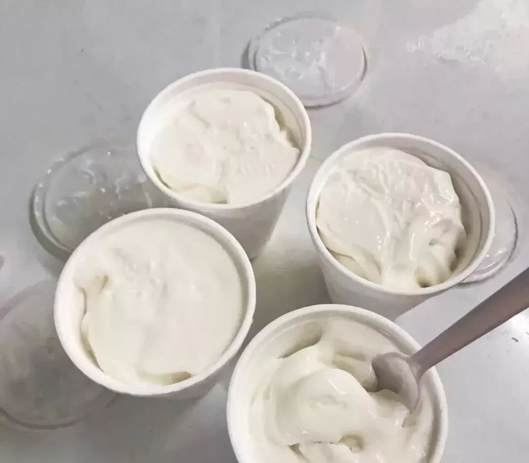 澳门暴走旅行,在澳门暴走一万步