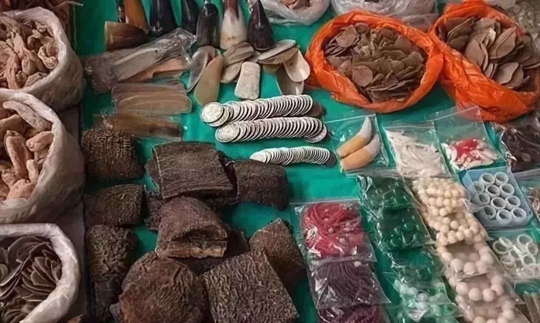 没有买卖就没有杀害这句话对吗,没有买卖就没有杀害翻译英文