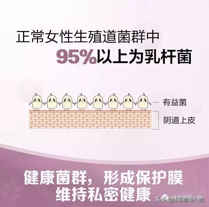 聊聊益生菌,女性益生菌和肠胃益生菌一起服用