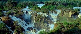 为什么女生尿尿需要纸巾擦,而男生不用?不能学男生抖抖吗?