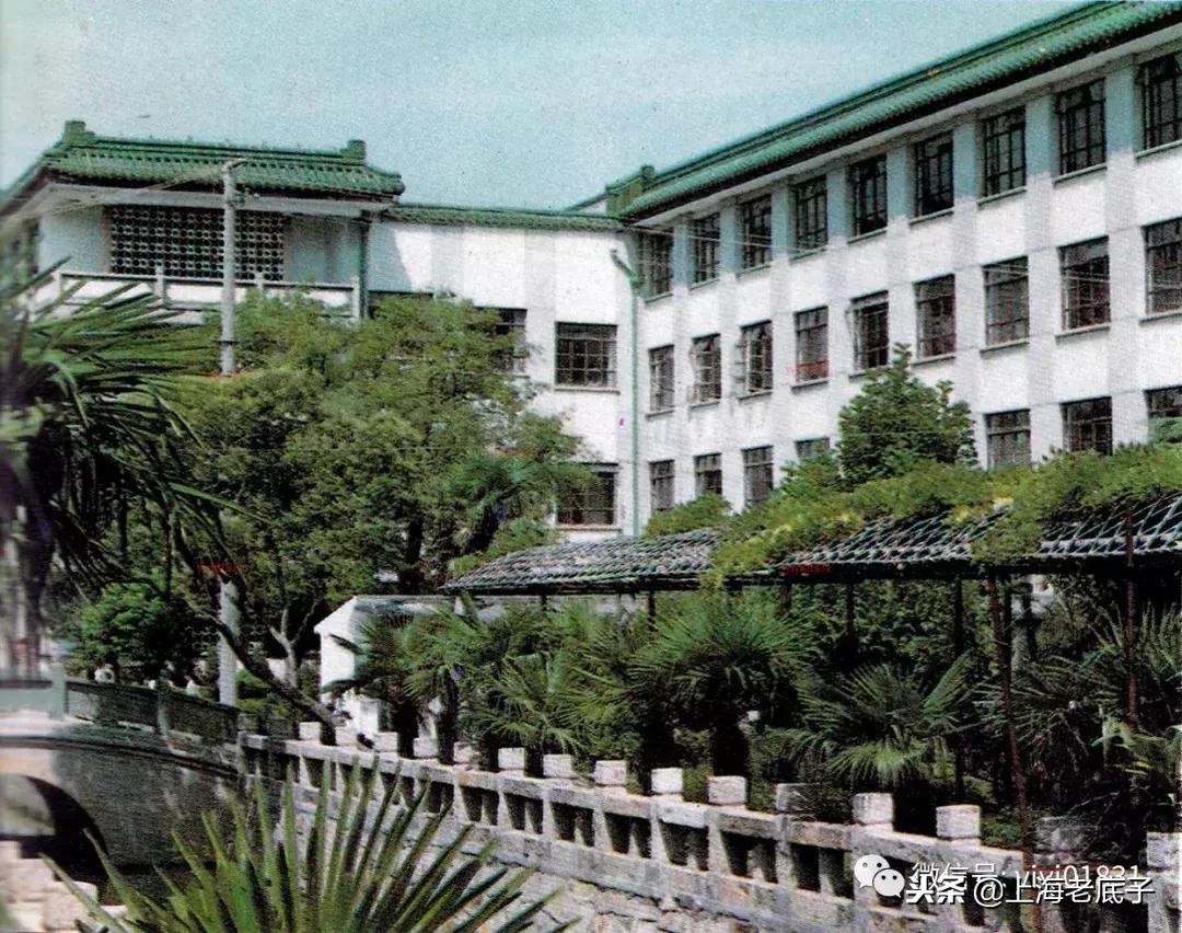 「川沙县篇」回望上世纪八九十年代的上海学校，有侬的母校伐？