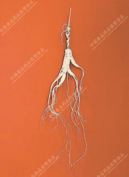 本草图谱人参,历代本草对人参的论述