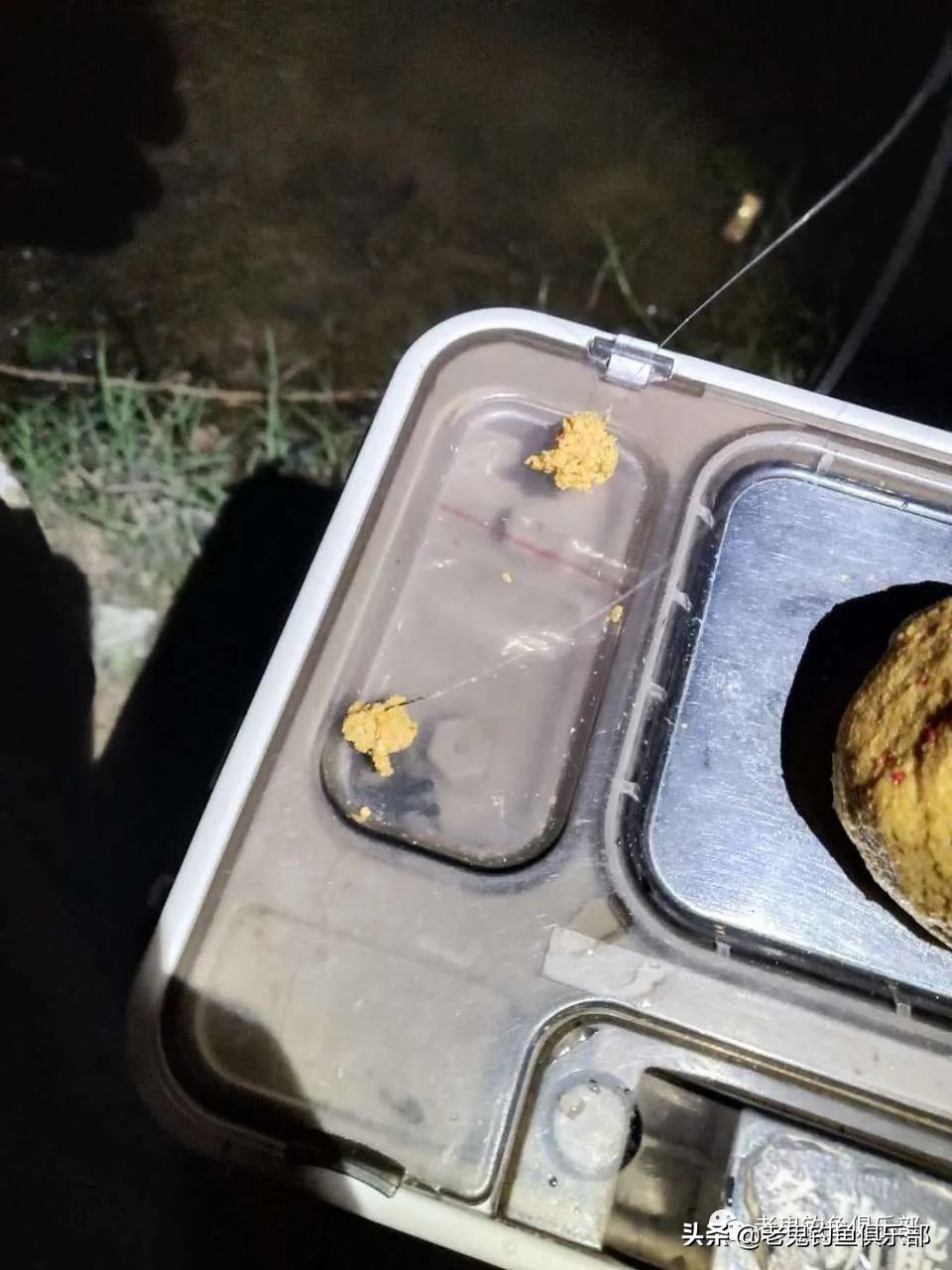 老鬼夏季大板鲫狂拉黑坑开饵视频,老鬼湖库之王狂拉大板鲫怎么样