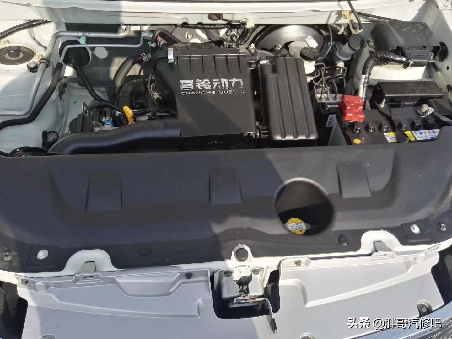 胖哥推荐两厢车,胖哥试驾铃木雨燕