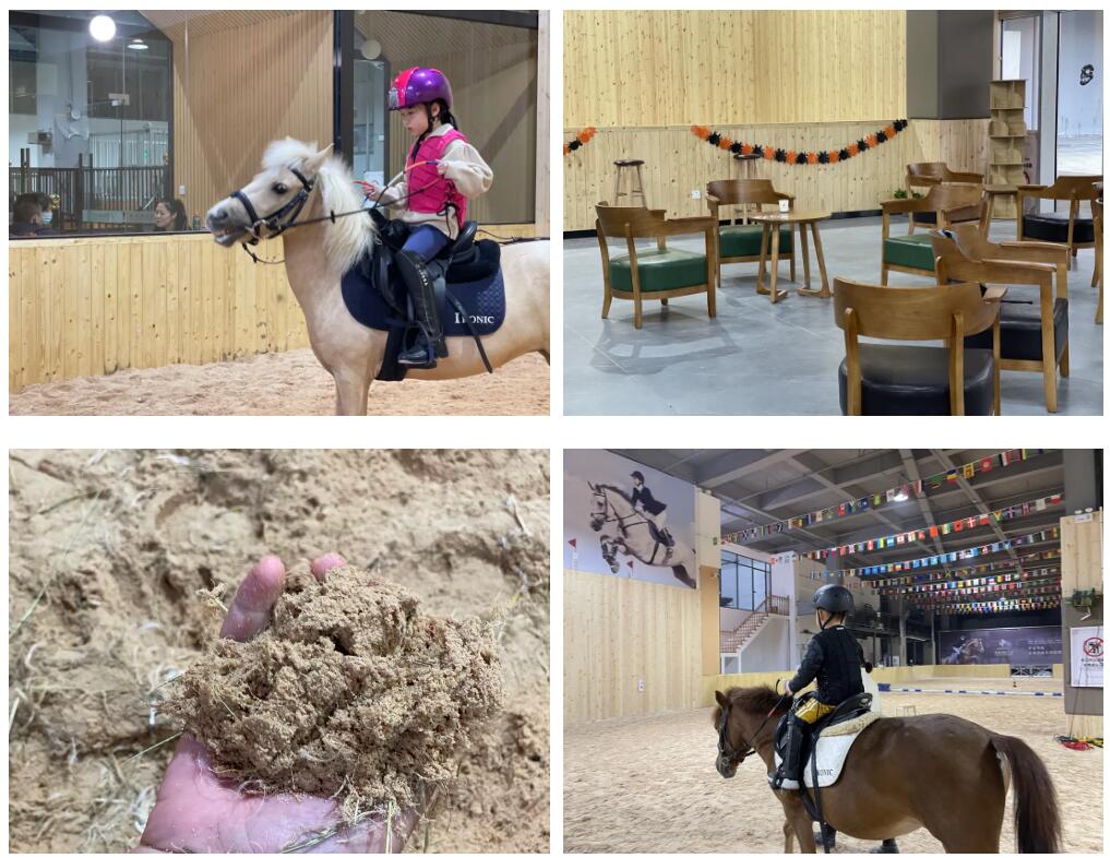 徐州英骐国际马术,徐州英琪国际马术中心