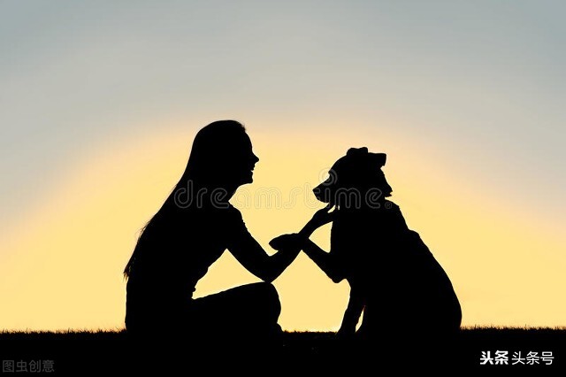 我为什么不吃猪肉,我为什么不吃牛肉