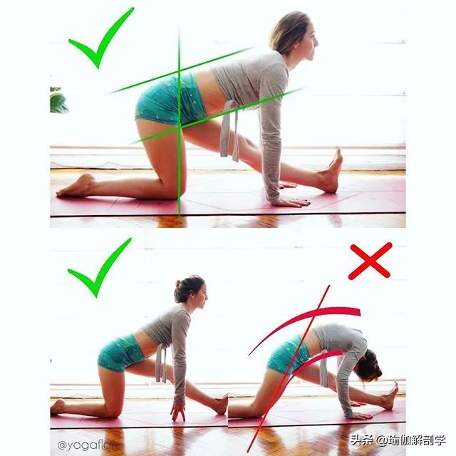 瑜伽怎么训练脊柱灵活性,瑜伽脊柱练习有哪些动作