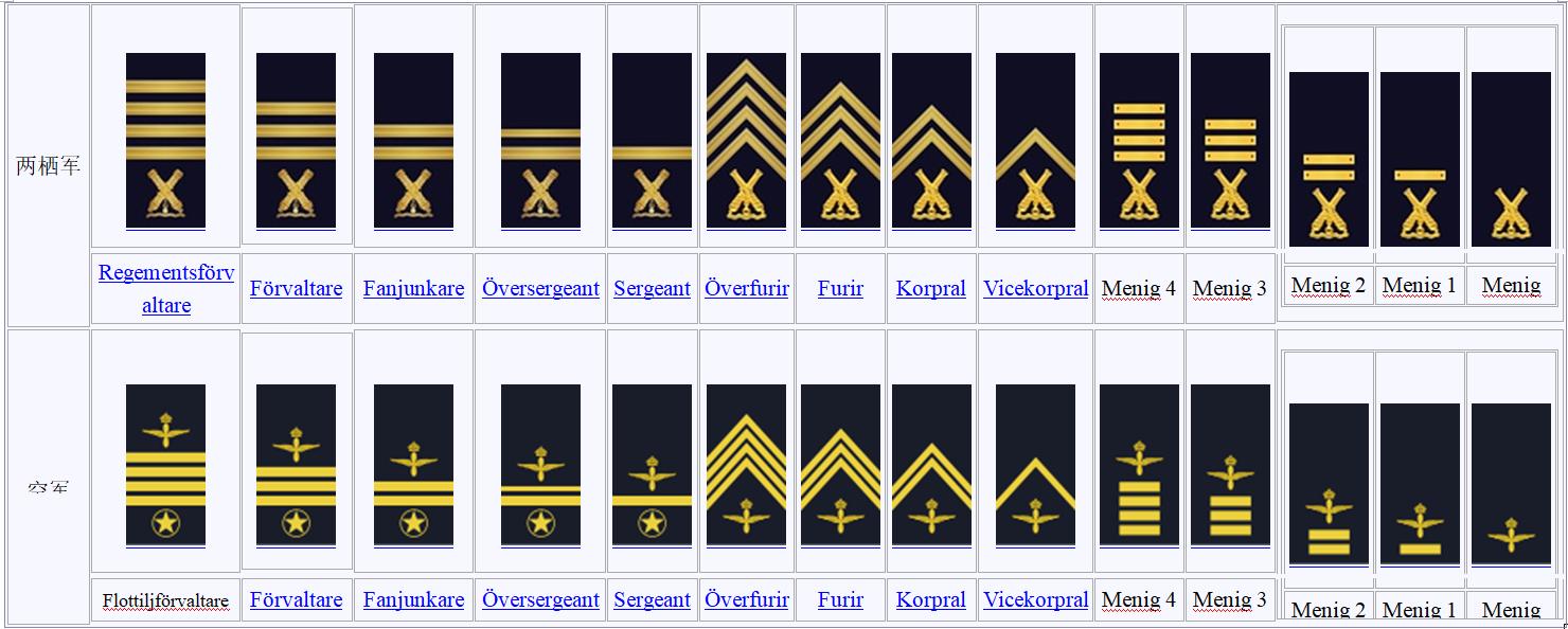 瑞典王国陆军,瑞典人口2022年总人数