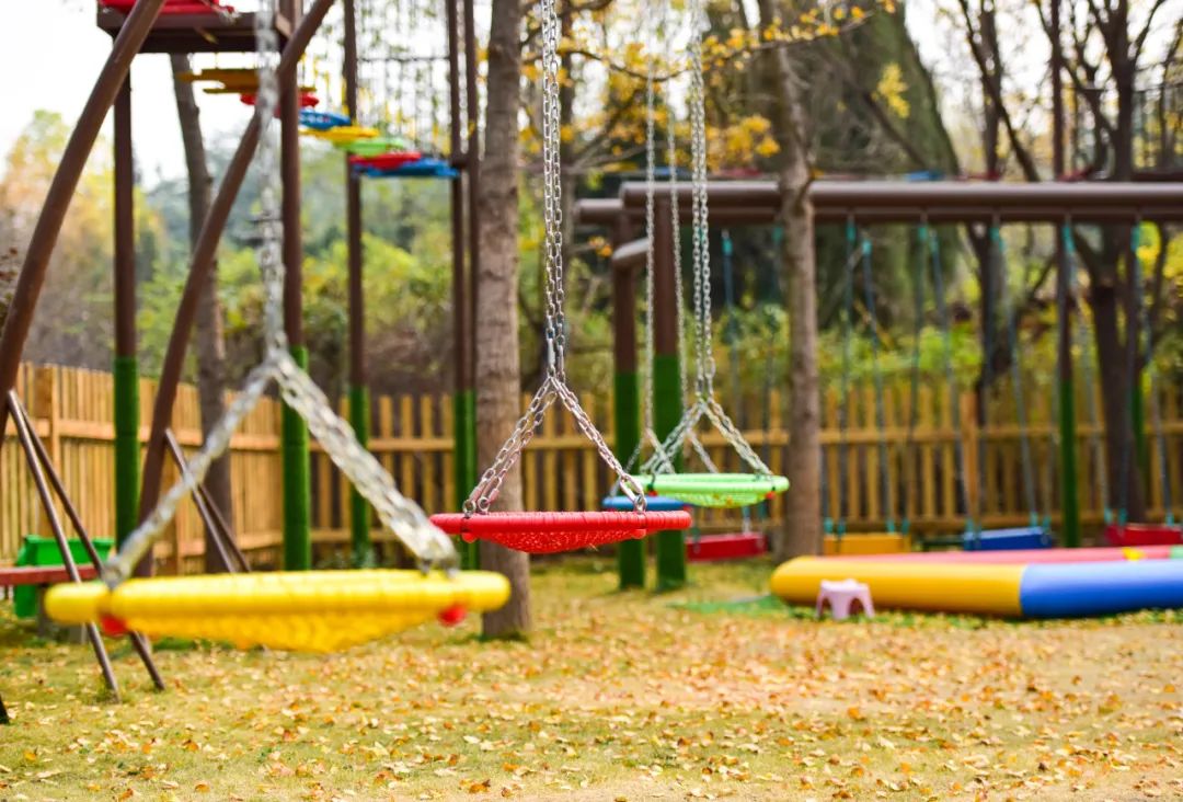 动物园、植物园、运动场、游乐场,洛阳从政坊大同坊,红得有道理