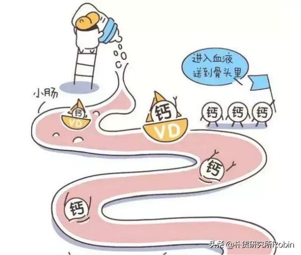 买成人钙片怎么选避坑,怎样分辨真假儿童钙片