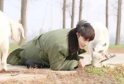 男明星的“脱敏”之路，有梗超会玩，具备核心竞争力