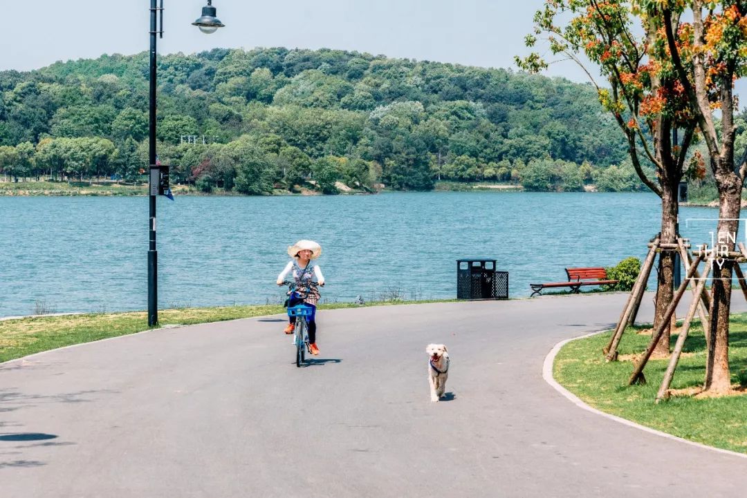 武汉冬季好玩的免费景点,武汉东湖免费景点有哪些