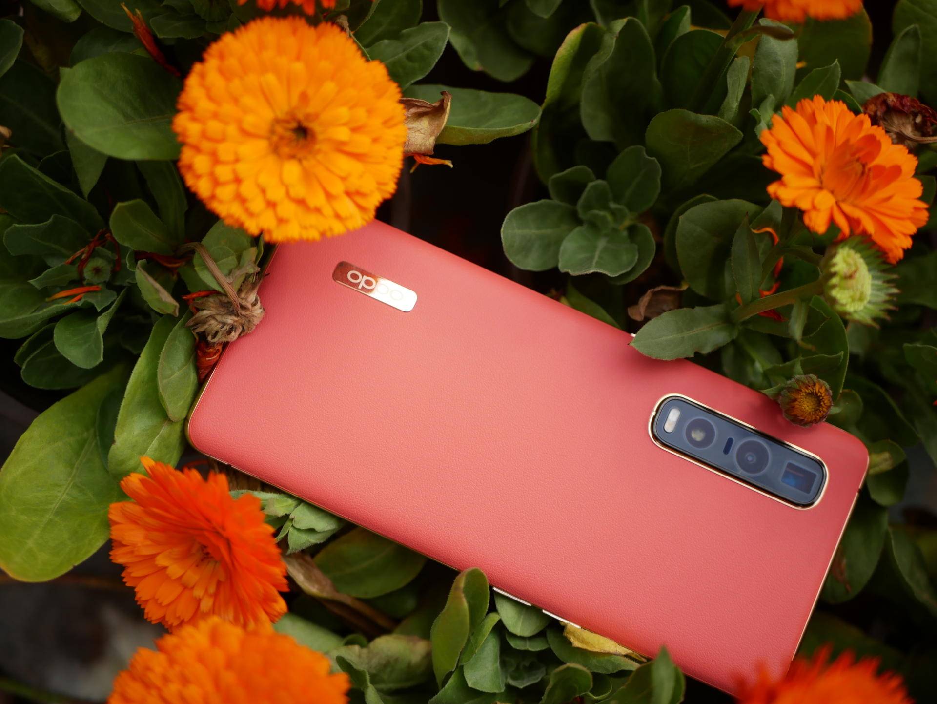 消费者视角评测,findx2pro发布多少钱