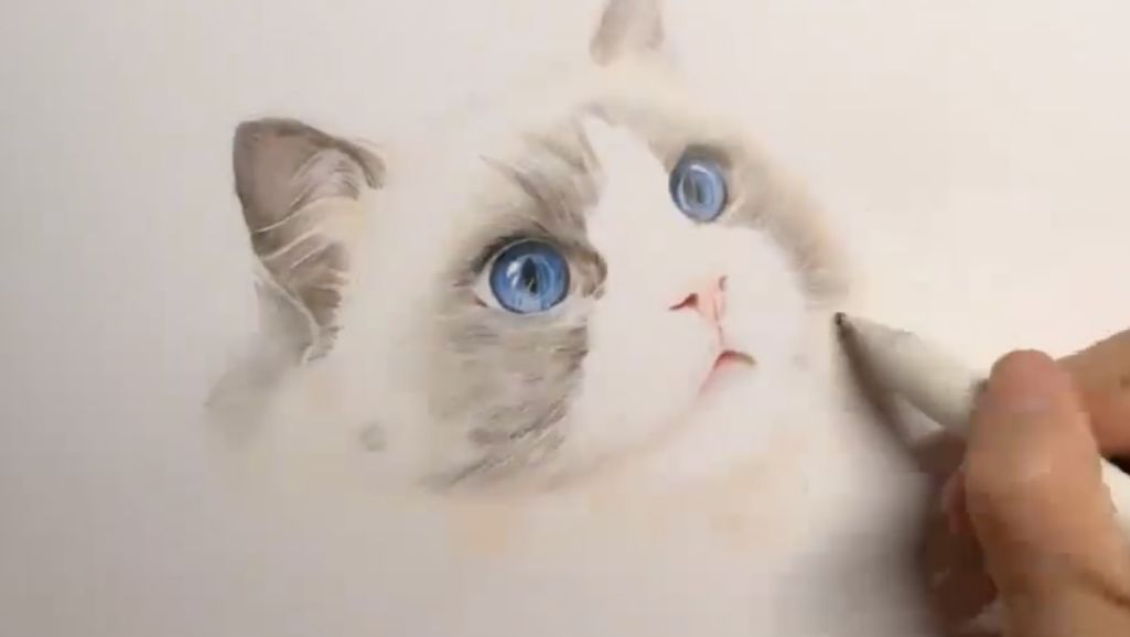 基础拉丁舞入门教学视频,古琴教学基础入门视频