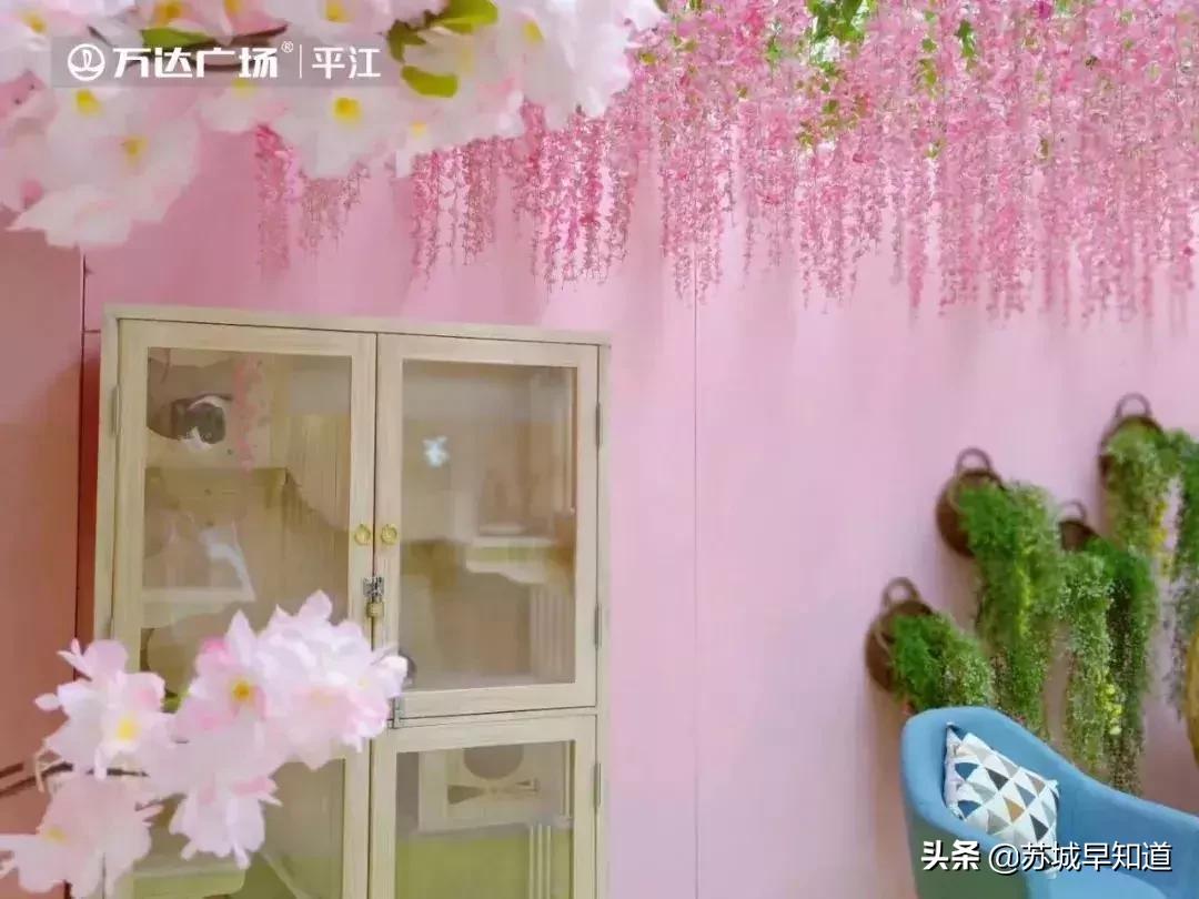 苏州平江路万达广场,苏州万达广场平江店