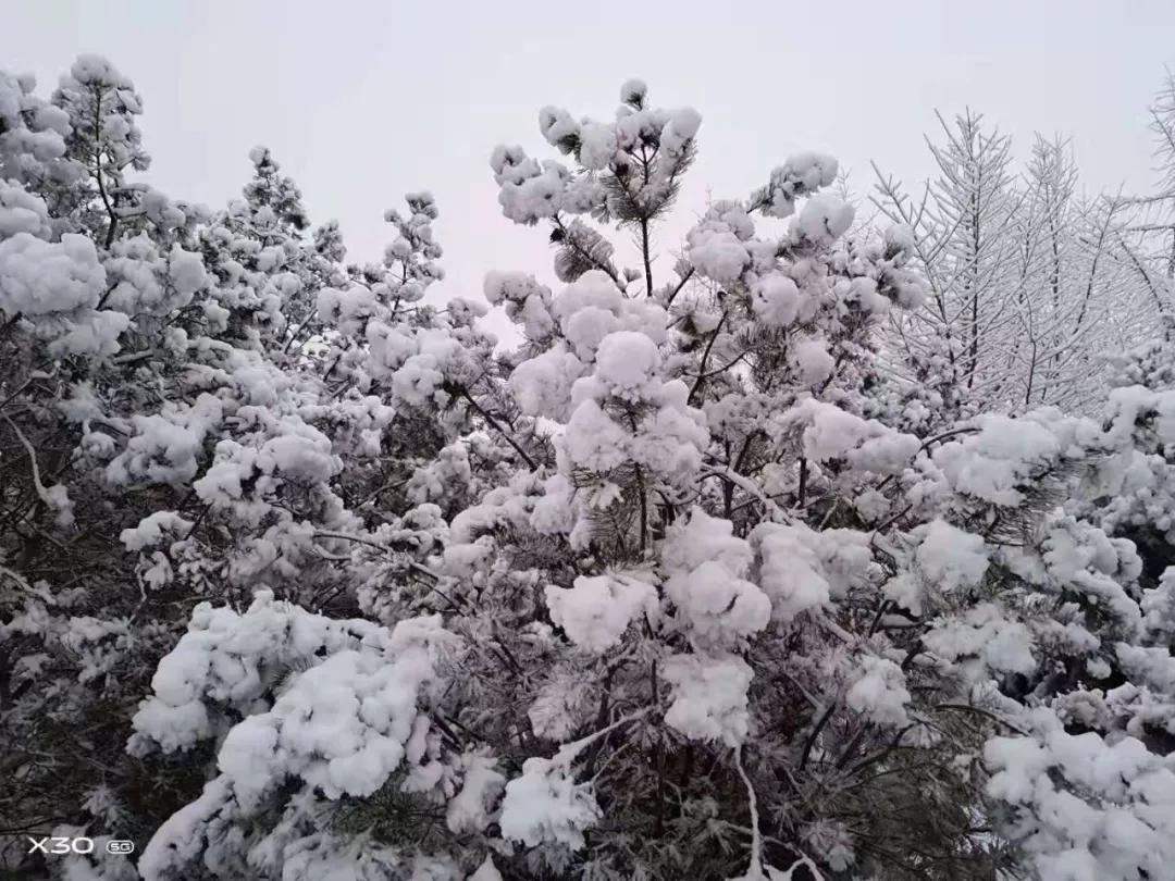 玉田雪化了吗,雪后有什么变化