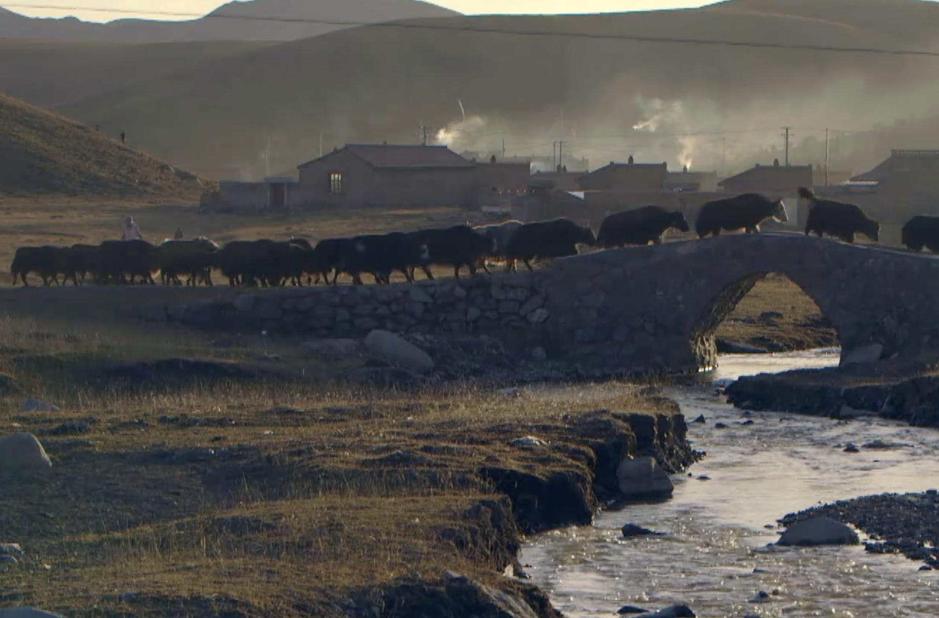 美国女孩嫁中国农村小伙,美国女孩嫁农村小伙