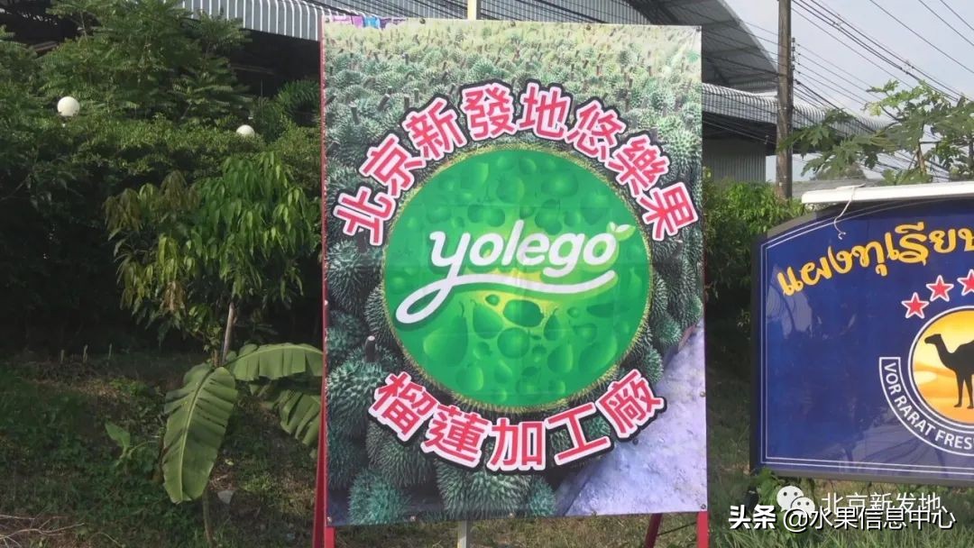 水果大王们生意经,水果生意经