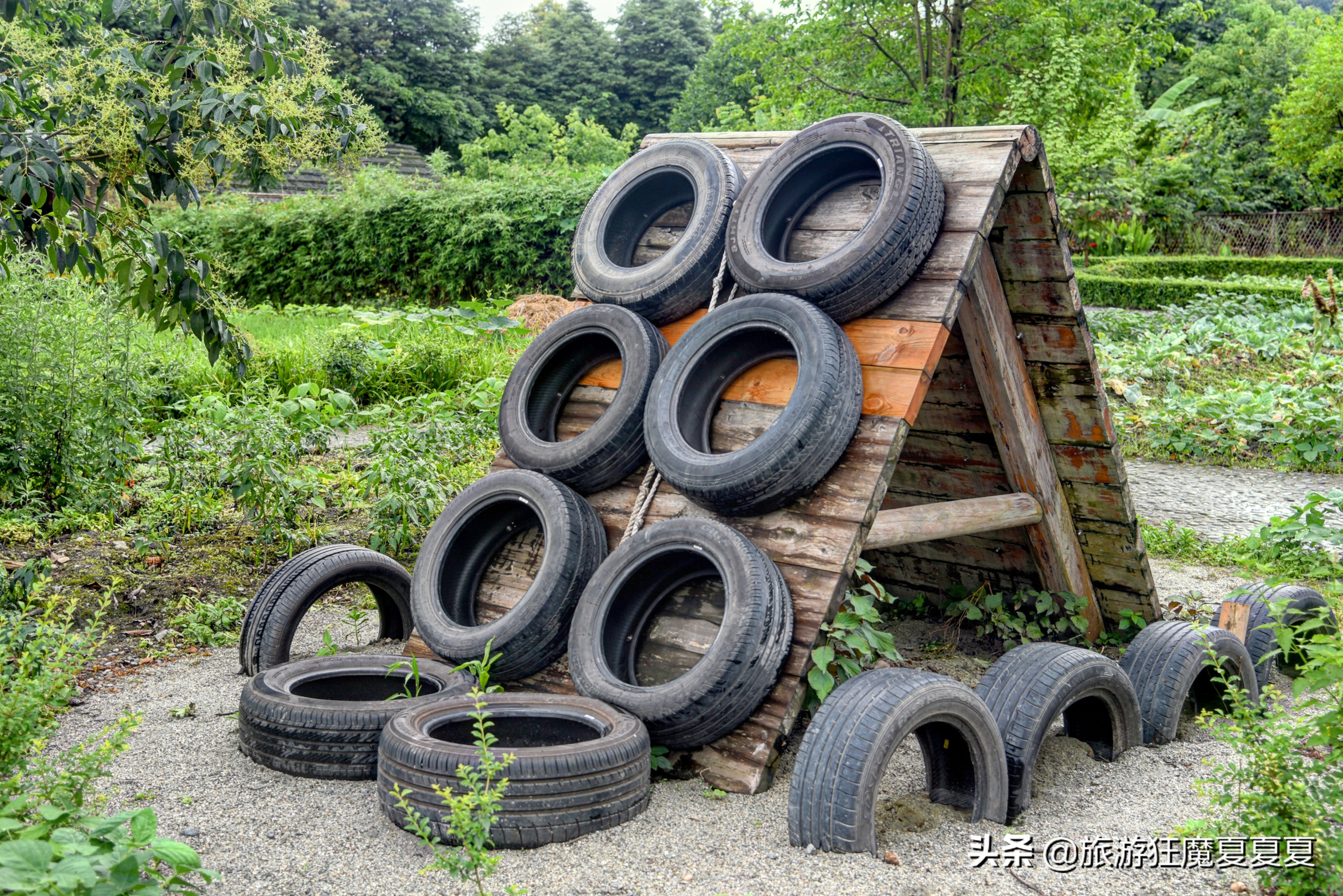 青城山值得推荐的酒店,青城山价格实惠的酒店