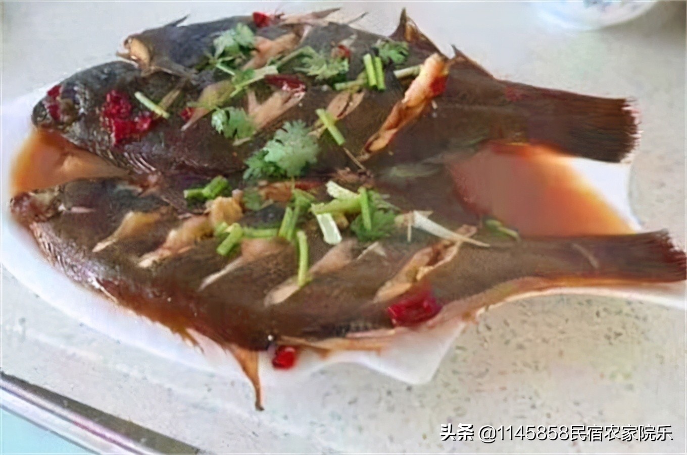 长岛大黑山岛民宿攻略,长岛沙滩民宿推荐