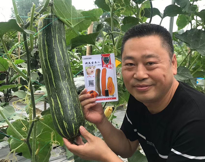 2010年的科研成就,10年潜心研究12项专利