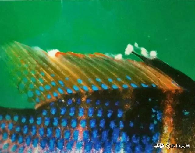 疾病科普小讲堂,疾病知识小讲堂