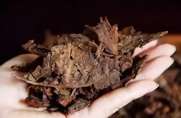 一篇文章带你看懂“黄片”