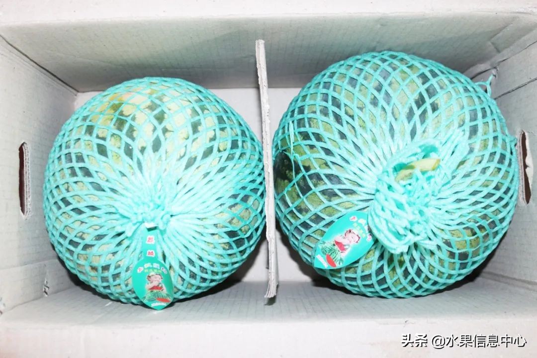 揭秘各种水果批发的价格,批发市场卖水果的技巧