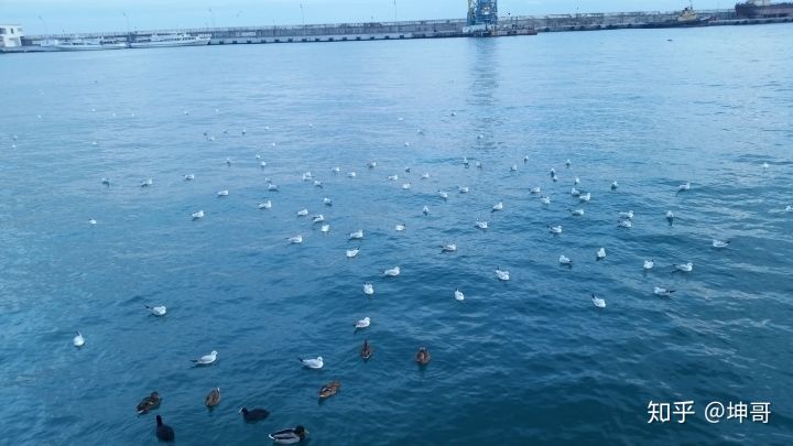 真实俄罗斯生活啥样的,俄罗斯是一个什么样的民族