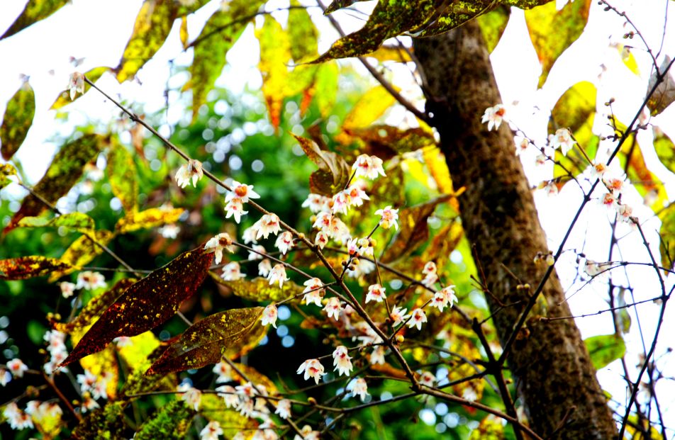 十堰旅游吃什么,十堰又能吃又能玩的地方