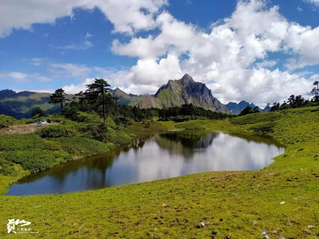 遇见怒江丨这是“我”手机镜头里的贡山风光