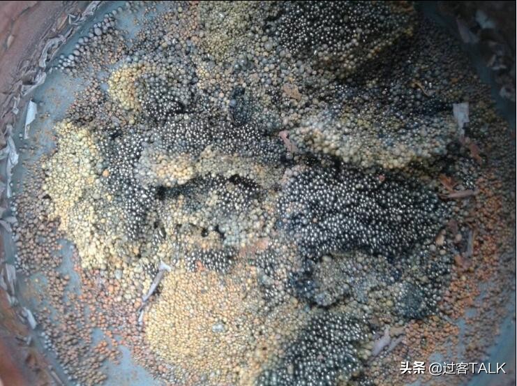 上海男子携*袜丝**进车间，“吸走”含黄金溶液，获利已超10万被刑拘