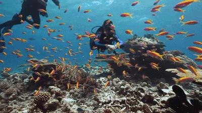 魔都大型解压游乐场,魔都摩天滑梯