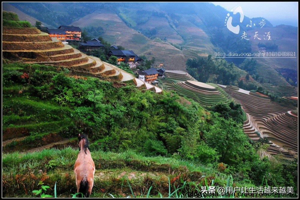 龙胜哪儿有好看的景区,广西的龙胜有什么好玩的