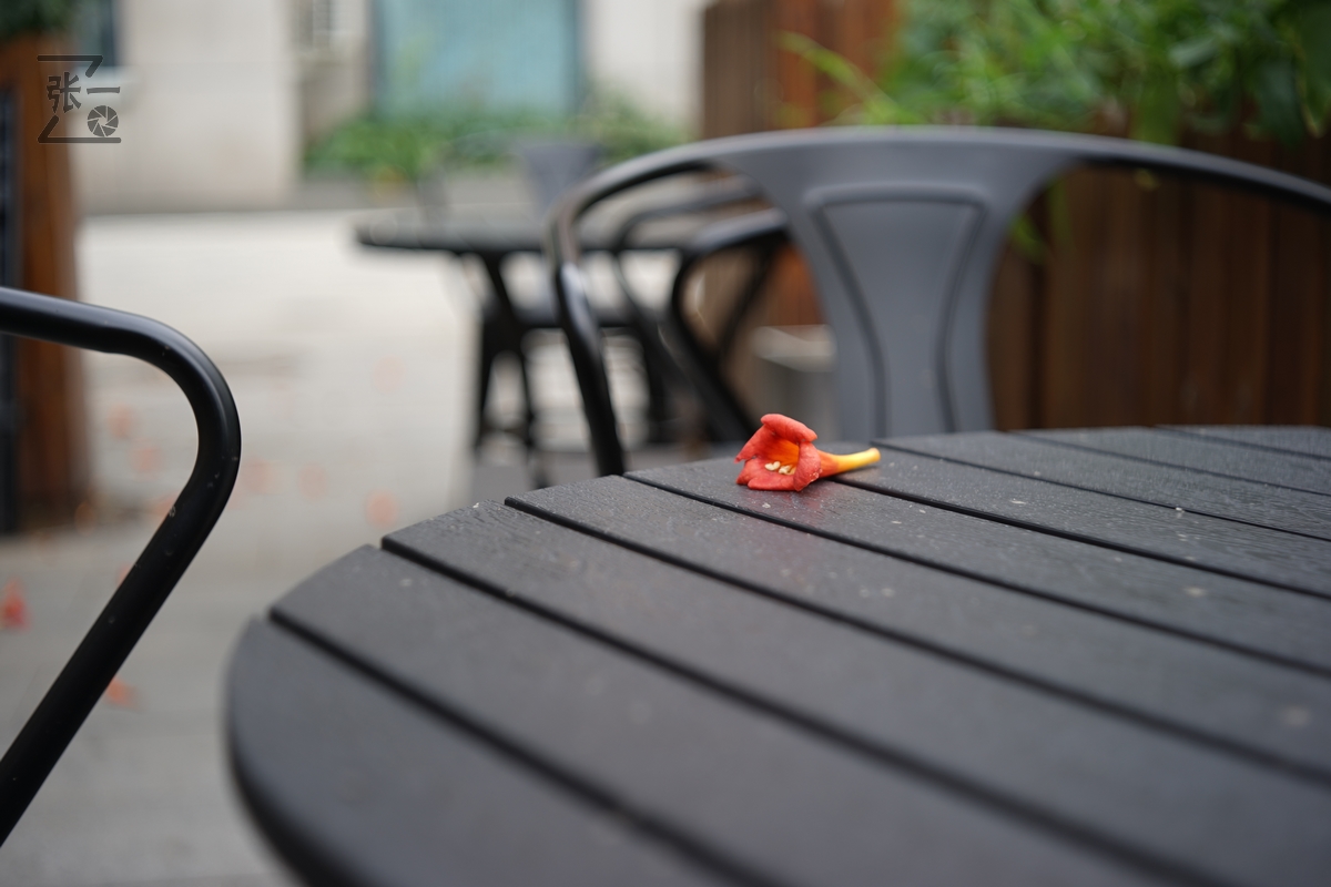 适合索尼a7m4的50定焦镜头测评,索尼a7m4镜头24-105f4测评