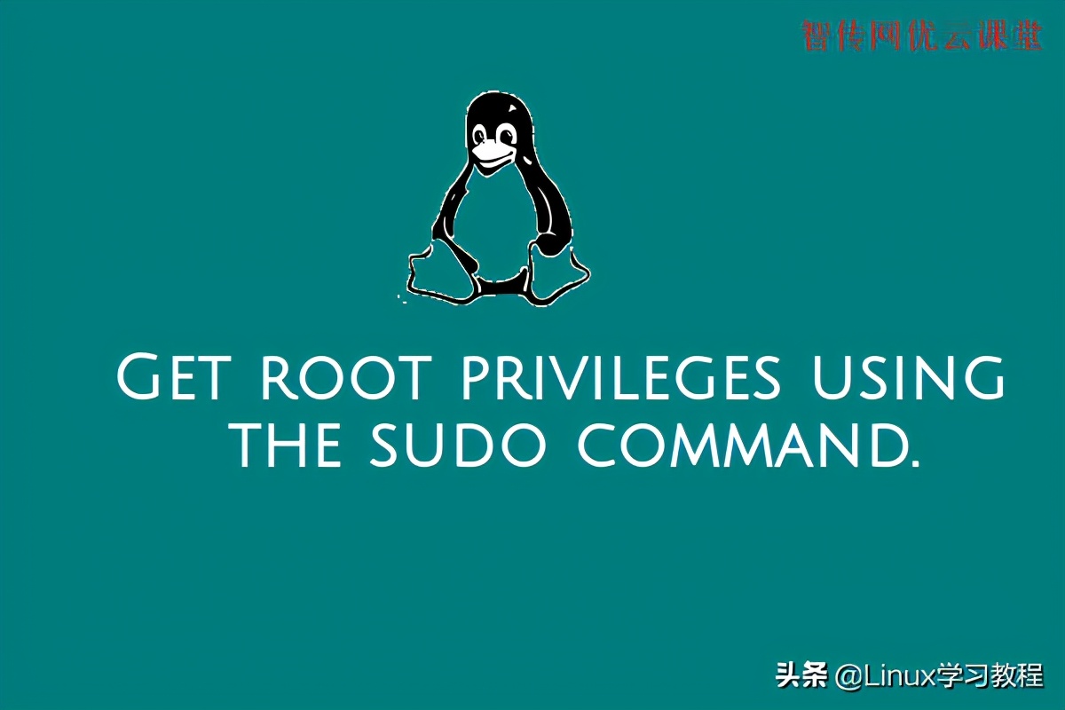 ubuntusudo命令的使用,ubuntu系统无法上网