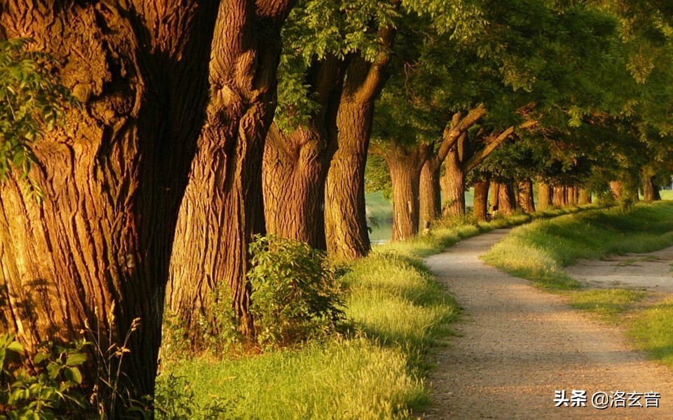 阴阳五行详解4章,阴阳五行简述第三篇